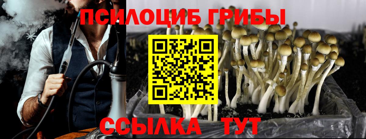 Ростов Великий  Псилоцибиновые грибы мицелий  Вход с VPN 